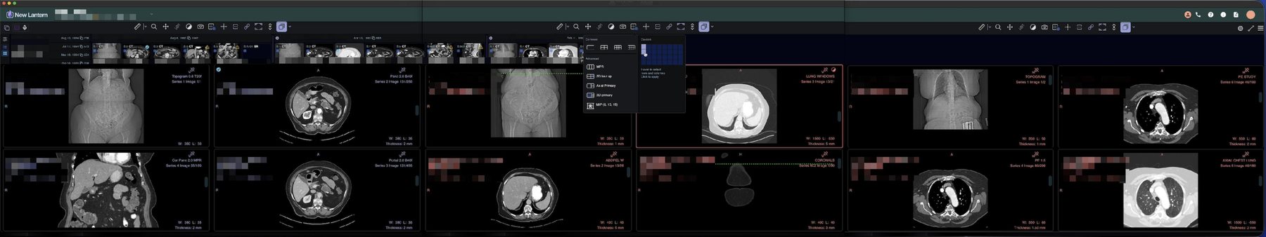Multi-monitor support